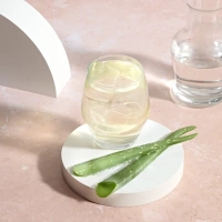 Herbal Aloe Konsantre İçecek​